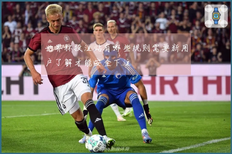 世界杯投注站有哪些规则需要新用户了解才能安全下注