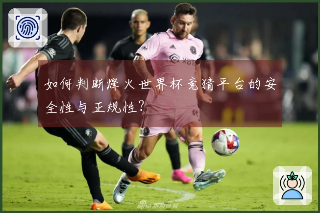如何判断烽火世界杯竞猜平台的安全性与正规性？