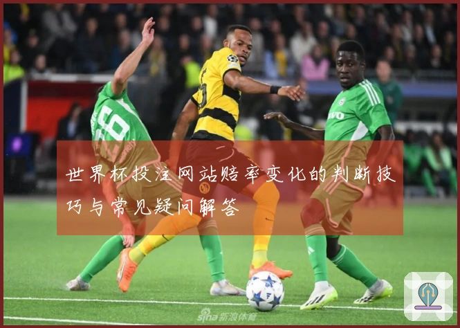 世界杯投注网站赔率变化的判断技巧与常见疑问解答